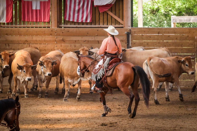 Western et chevaux