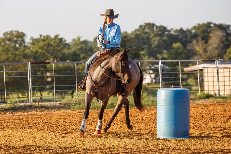 Chevaux de western