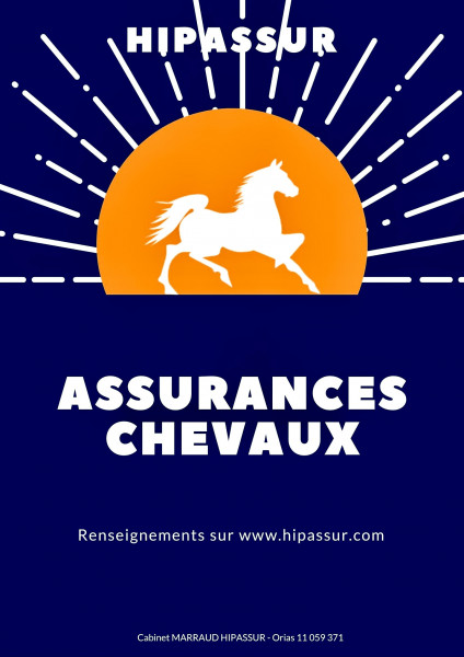 assurance cheval Hipassur